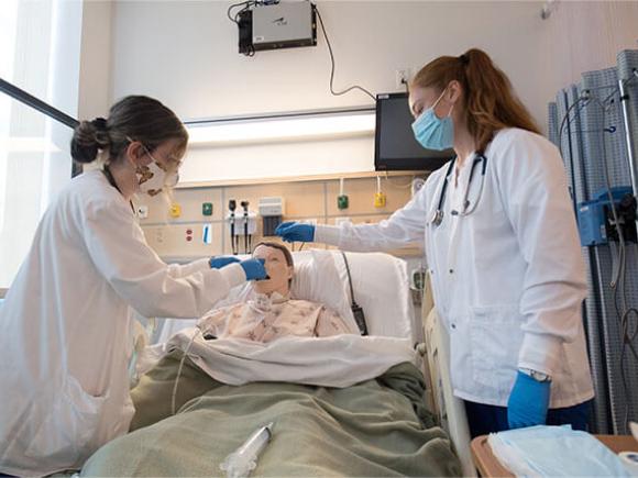 Nursing, B.S.N. | Westfield State University