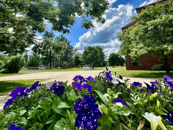 Campus in the summer with purple flowers and a blue sky with clouds.