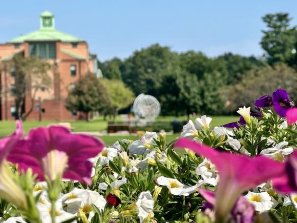 A stock photo of the globe. The shot is focused on flowers that cover the bottom half of the photo, while the globe ahead is out of focus.