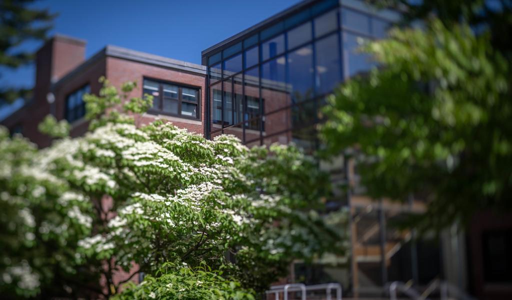 Scanlon Hall in the spring with flowering white trees in front.