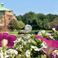 A stock photo of the globe. The shot is focused on flowers that cover the bottom half of the photo, while the globe ahead is out of focus.