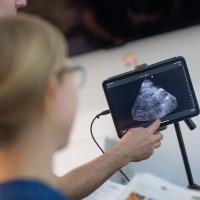 A close-up photo of an ultrasound, as students practice using the new Butterfly ultrasound tools in the Physician Assistant program.